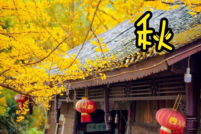 合秋天吃的菜合理“贴秋膘”不能乱补麻将胡