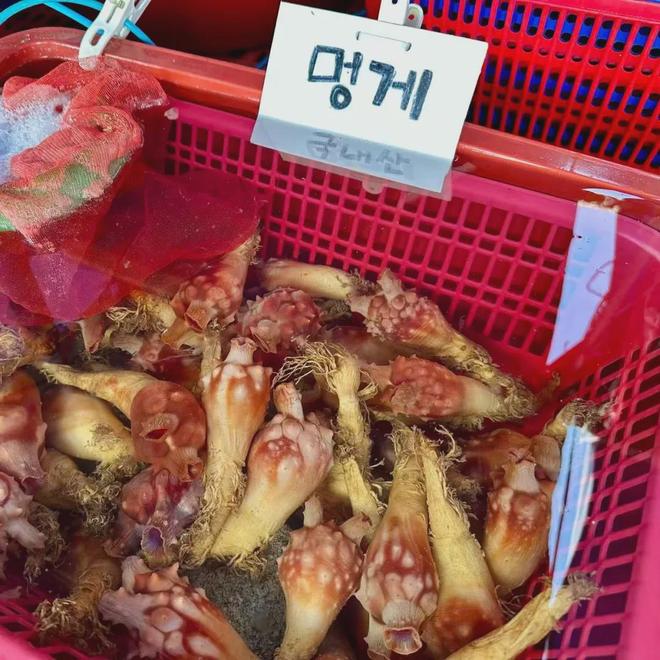 食物居然在韩国比中日都要正宗？｜文史宴麻将胡了试玩网站免费《周礼》里的正统(图3)