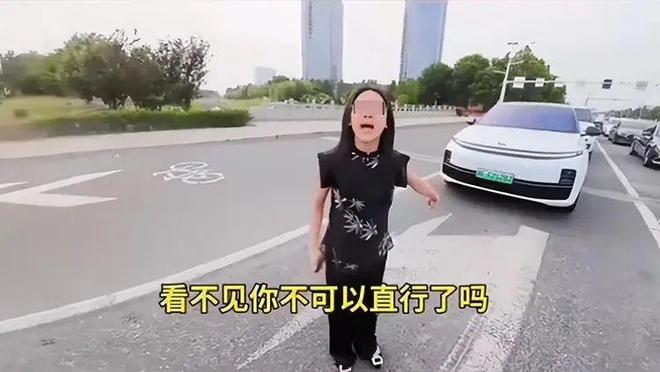 ：女司机气到流产公布完整行车记录仪麻将胡了河北女司机与骑手冲突后续(图7)